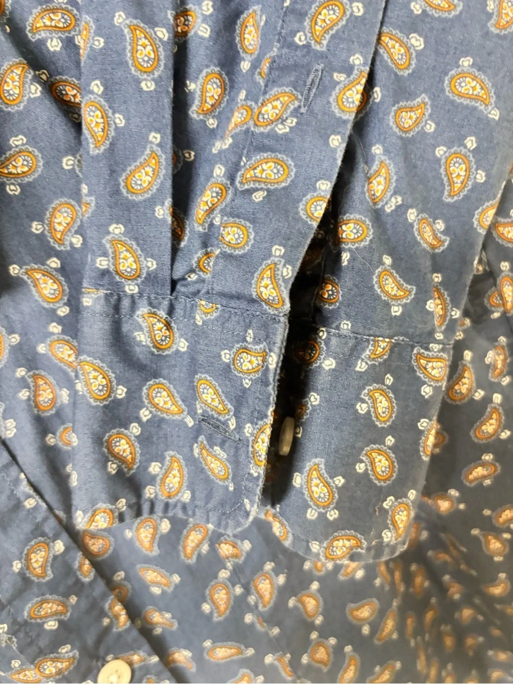 J. Crew Blue Paisley Print Button-Down Shirt
